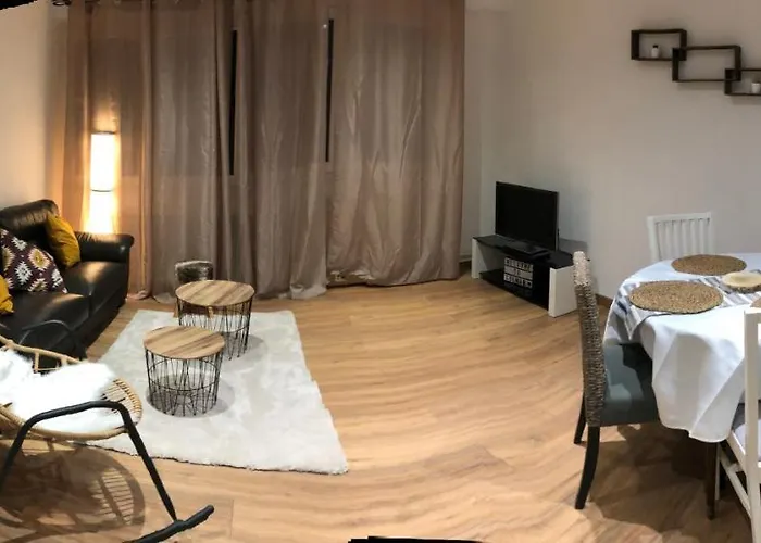 Harmonie 公寓 科尔马